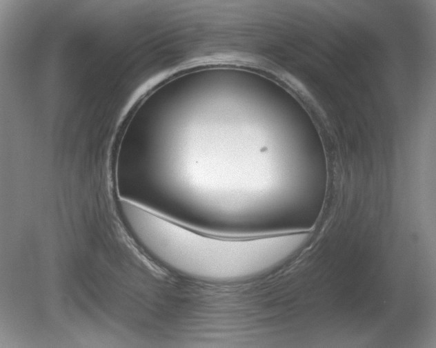X0000080141230200612081018
