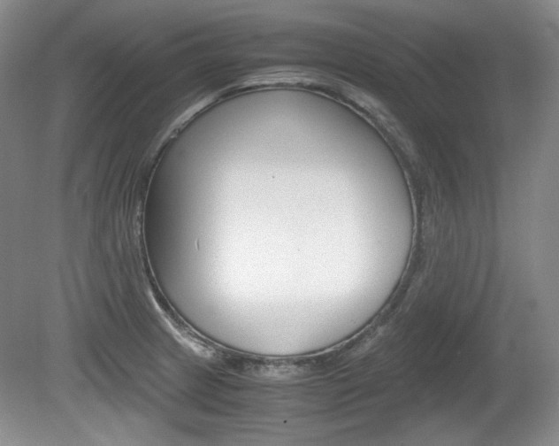X0000080141233200612081018