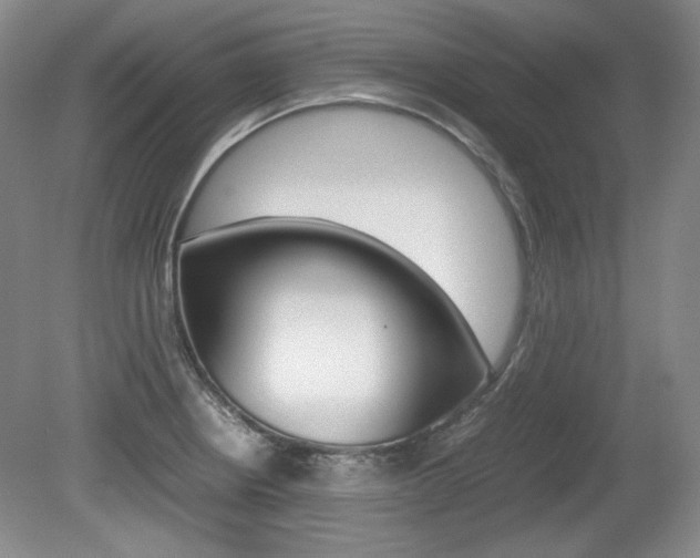 X0000080141234200612081018