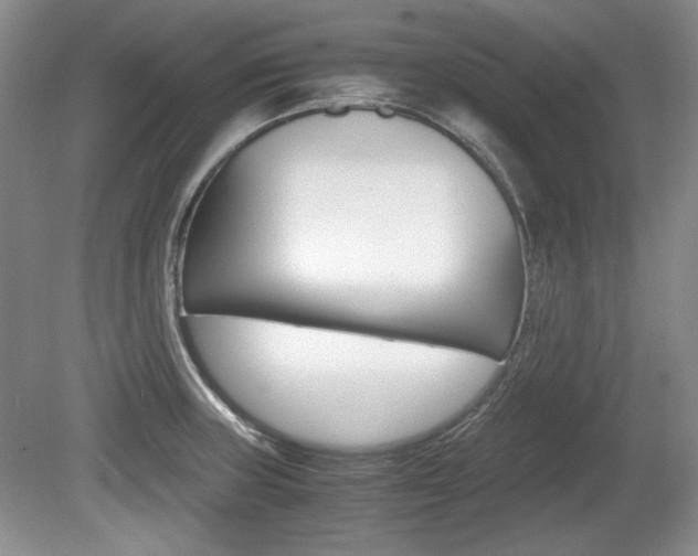X0000080141235200612081018