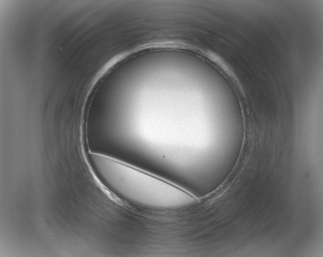 X0000080141237200612081018