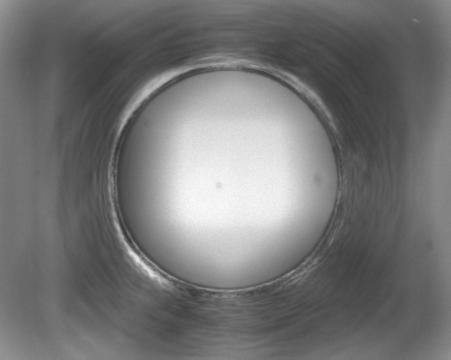 X0000080141239200612081018