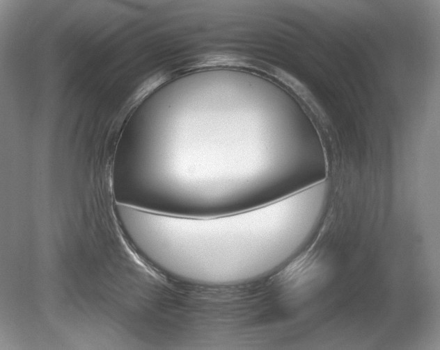 X0000080141241200612081018