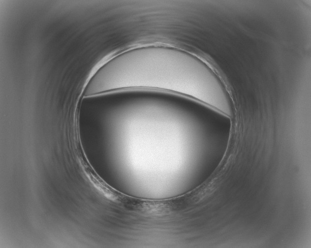 X0000080141242200612081018