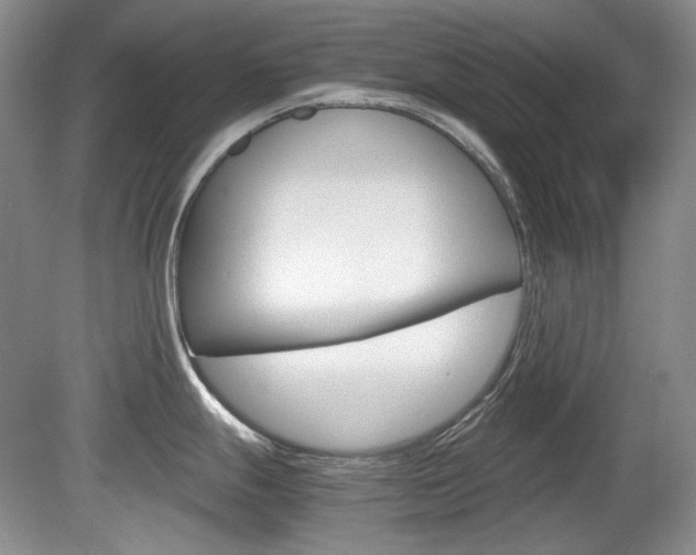 X0000080141247200612081018