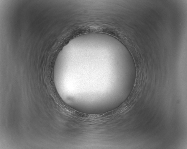 X0000080141249200612081017