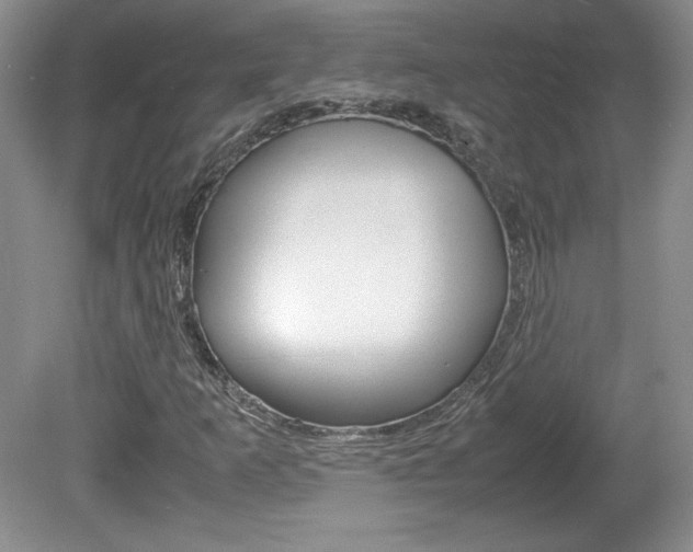 X0000080141253200612081017
