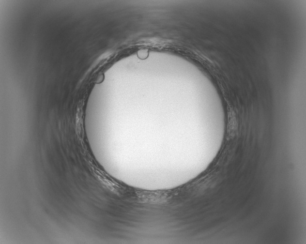 X0000080141254200612081017