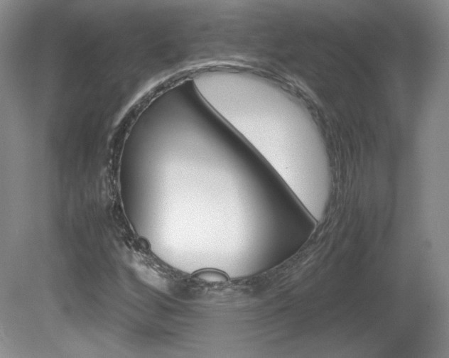 X0000080141256200612081017