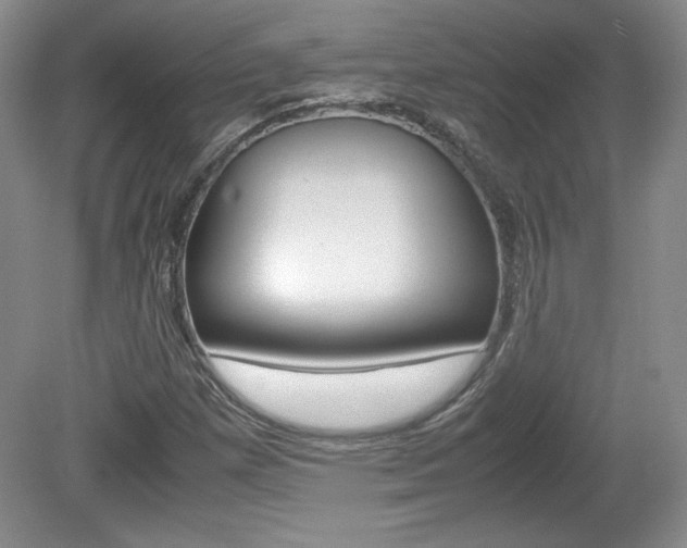 X0000080141257200612081017