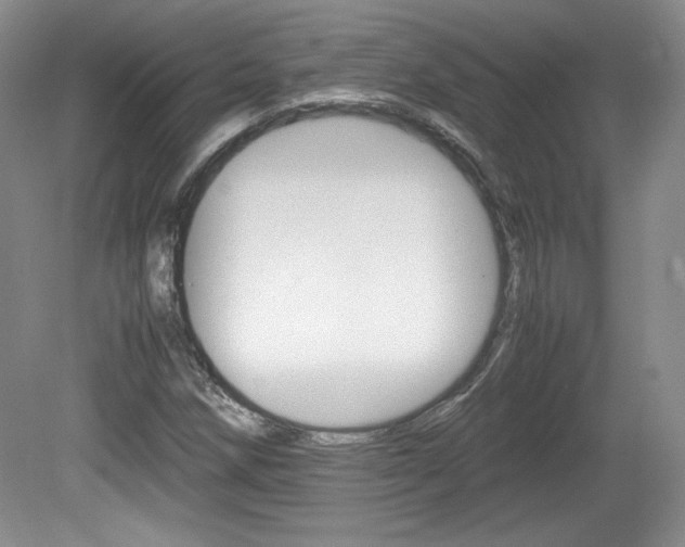 X0000080141258200612081017