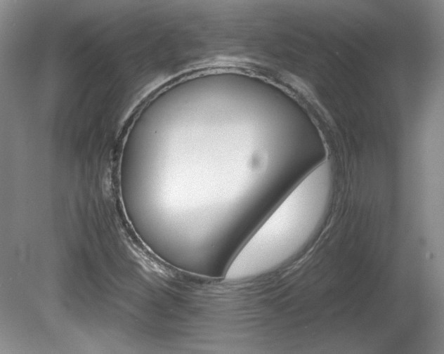 X0000080141260200612081017