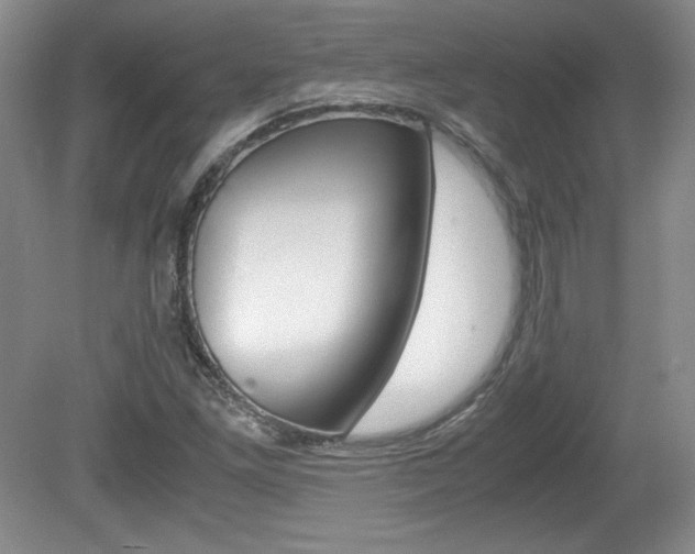 X0000080141261200612081017