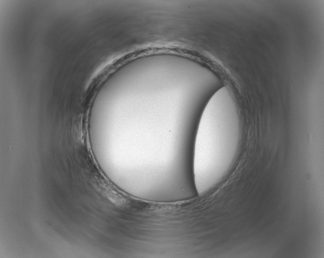 X0000080141262200612081017