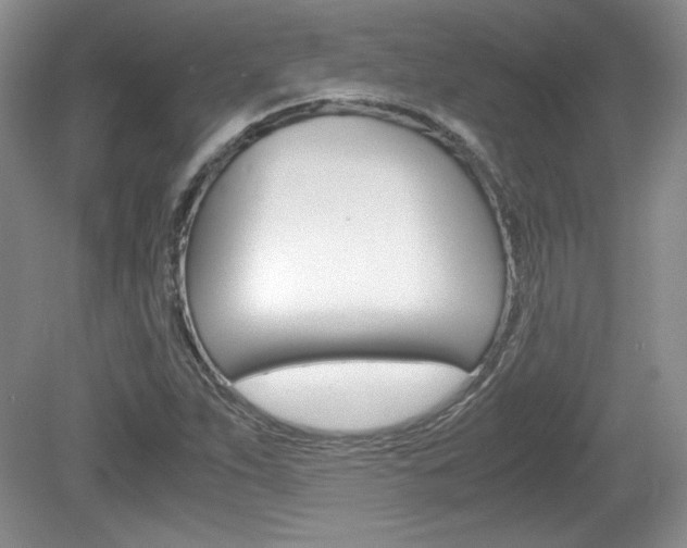 X0000080141263200612081017