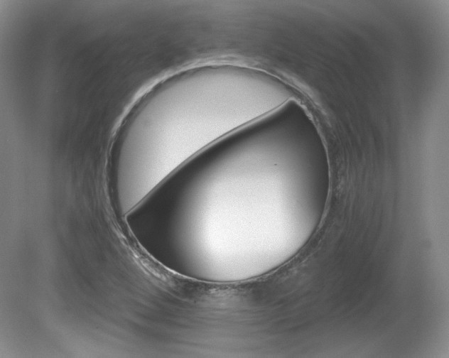 X0000080141264200612081017