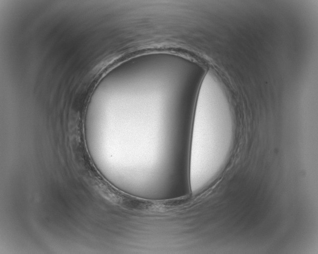 X0000080141265200612081017