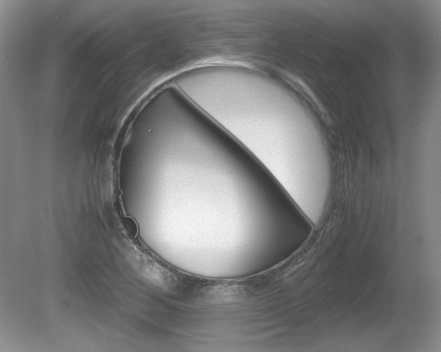 X0000080141268200612081017