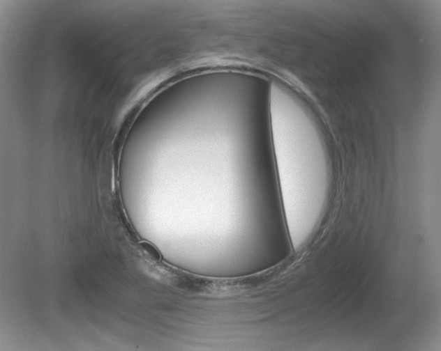 X0000080141269200612081017