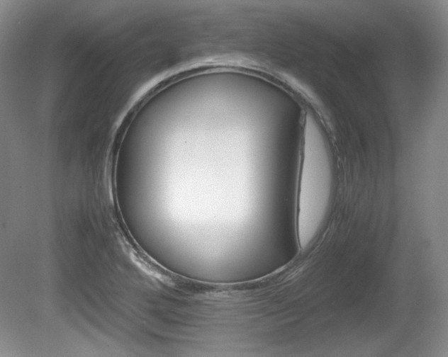 X0000080141272200612081017