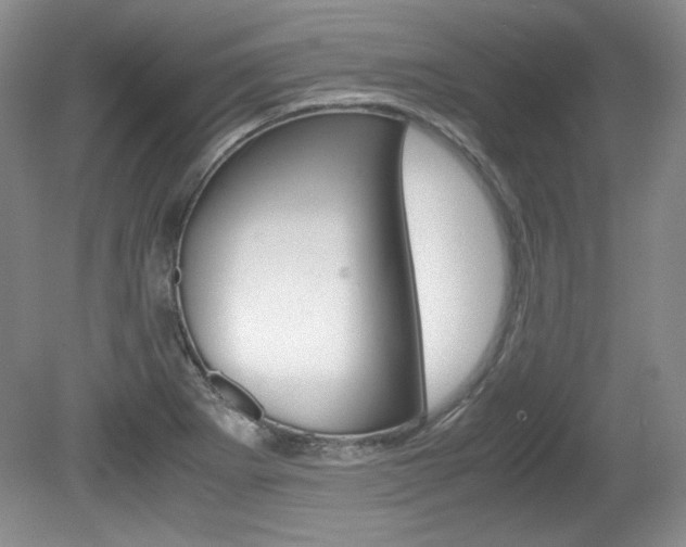 X0000080141273200612081017