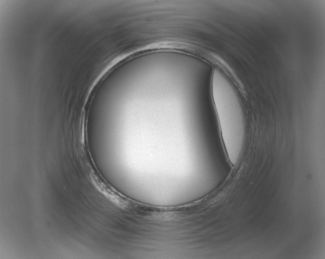X0000080141276200612081017