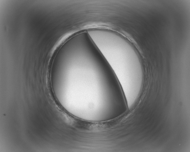 X0000080141277200612081017