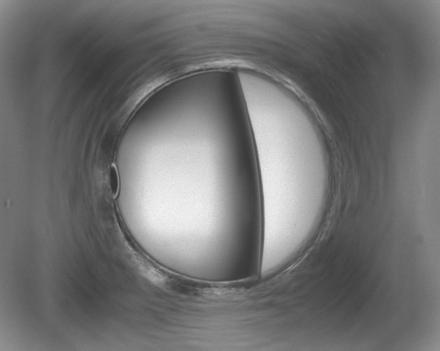X0000080141281200612081017