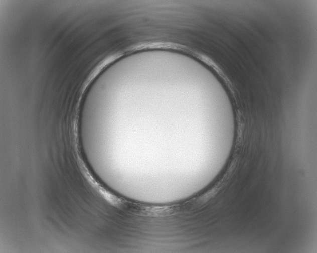 X0000080141282200612081017