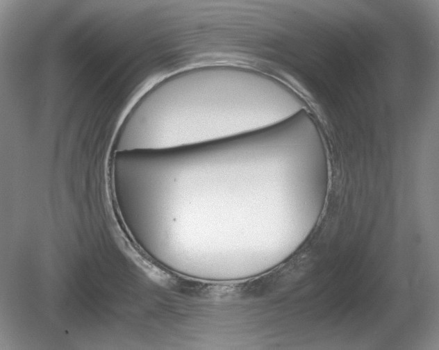 X0000080141283200612081017