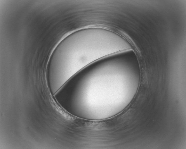X0000080141284200612081017