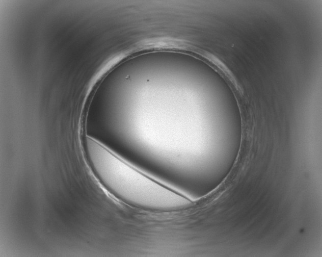X0000080141285200612081017