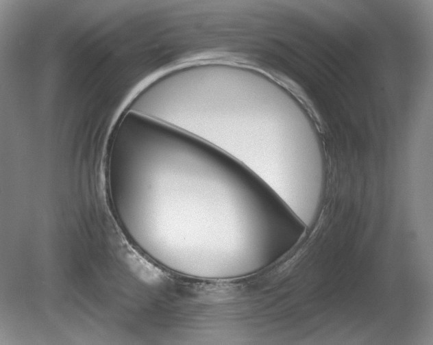 X0000080141288200612081017