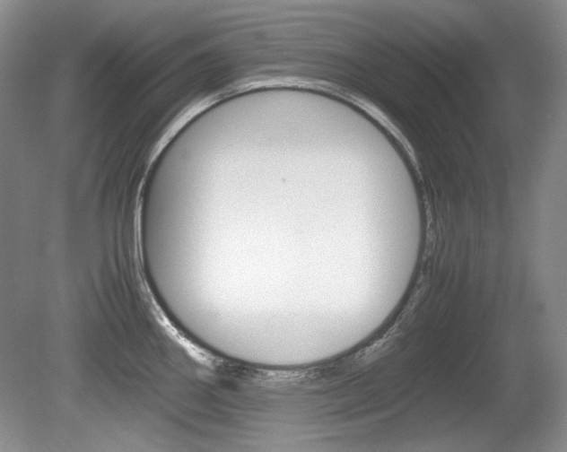 X0000080141290200612081017