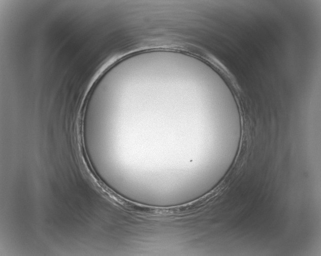 X0000080141291200612081017
