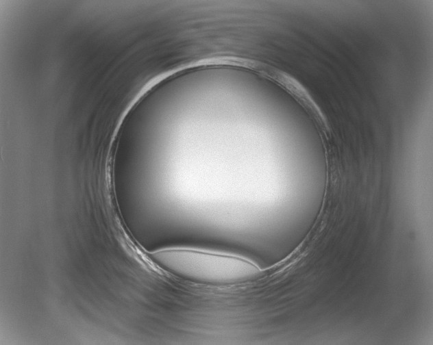 X0000080141292200612081017