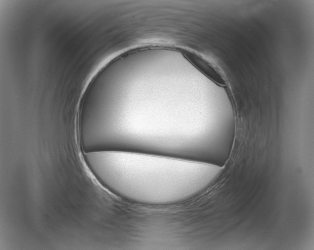 X0000080141295200612081016