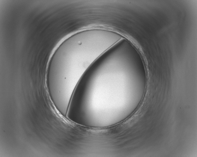 X0000080141296200612081016
