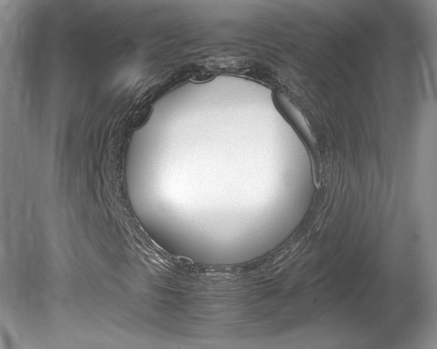 X0000080141297200612081016