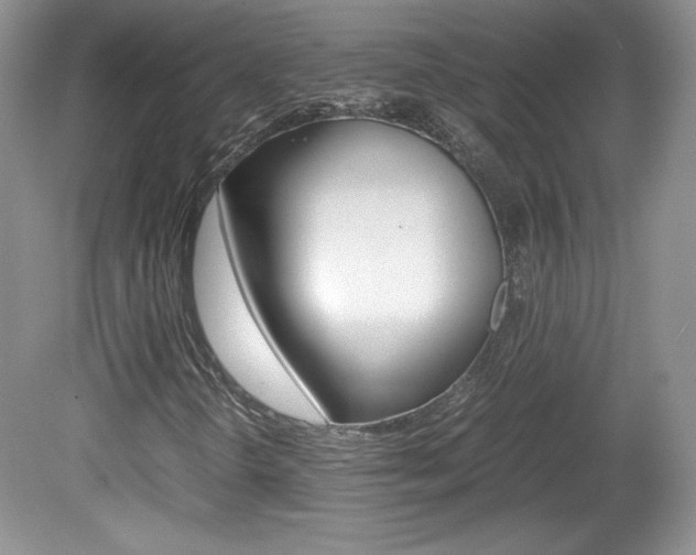 X0000080141298200612081016