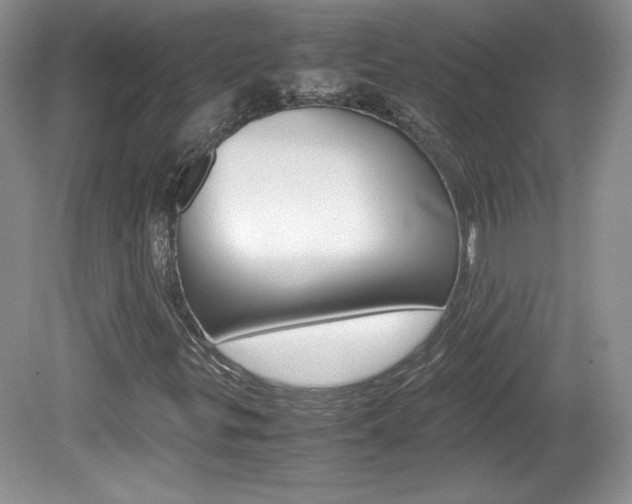 X0000080141299200612081016