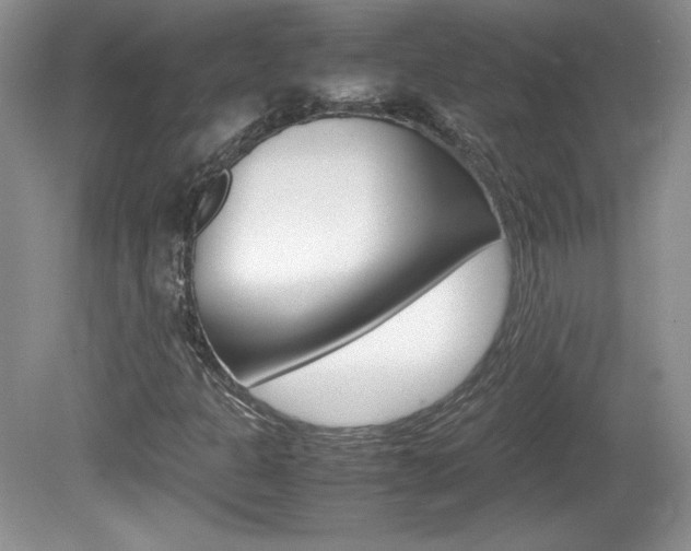 X0000080141301200612081016