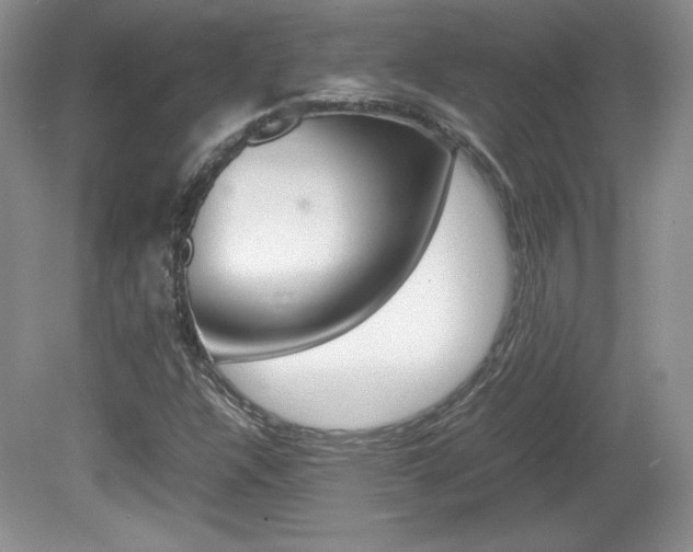 X0000080141304200612081016