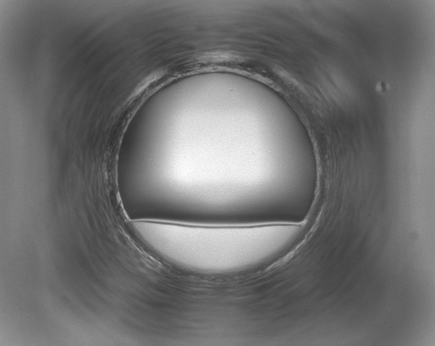 X0000080141305200612081016