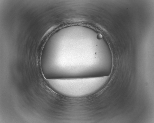 X0000080141306200612081016