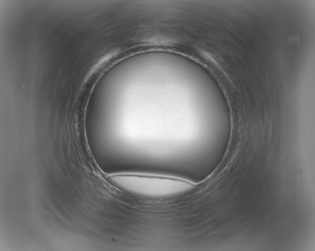 X0000080141307200612081016