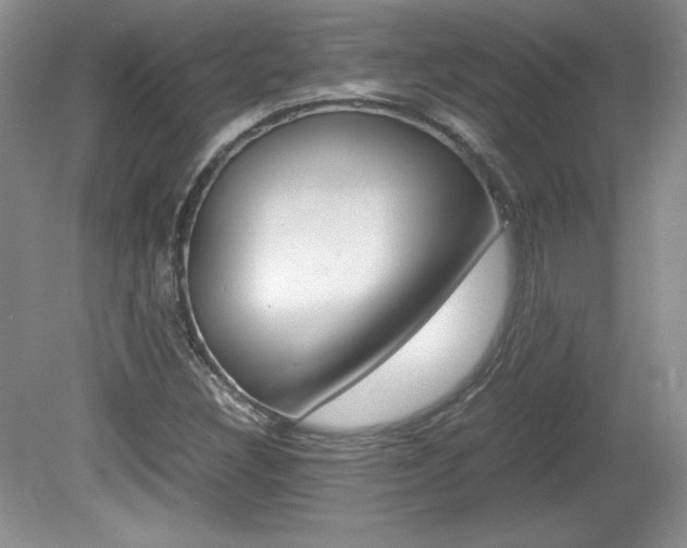 X0000080141308200612081016