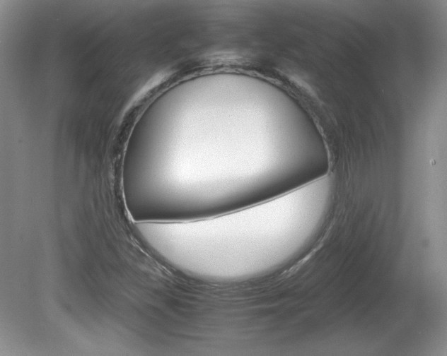 X0000080141309200612081016