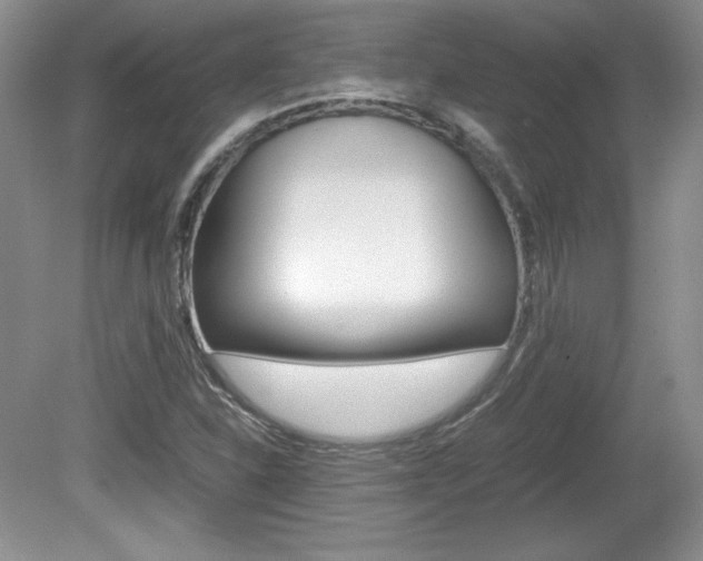 X0000080141310200612081016
