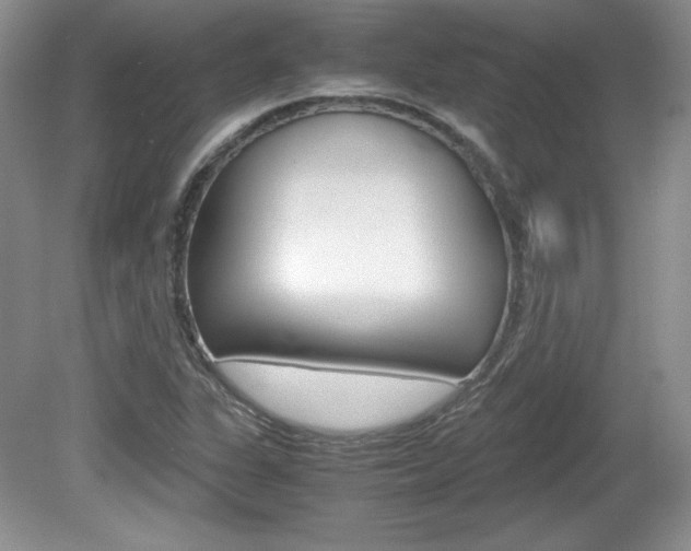 X0000080141311200612081016